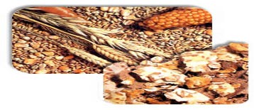 UK agency offers guidance on feed hygiene regulations